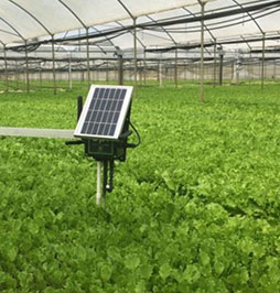 smart-agriculture